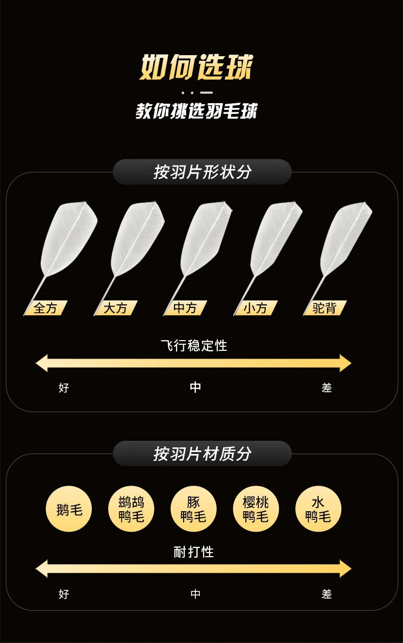 Chart showing different types of feather shapes and their effects on flight stability and durability.
