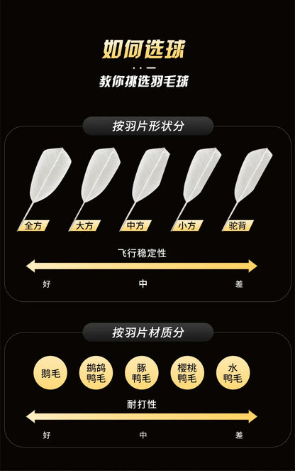 Chart showing different types of feather shapes and their effects on flight stability and durability.