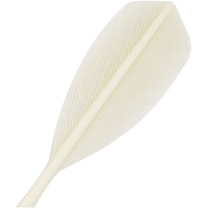 White feather on a white background